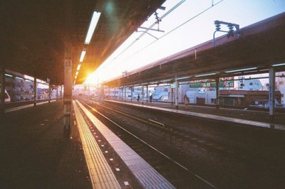 ​小花开了比喻句19句