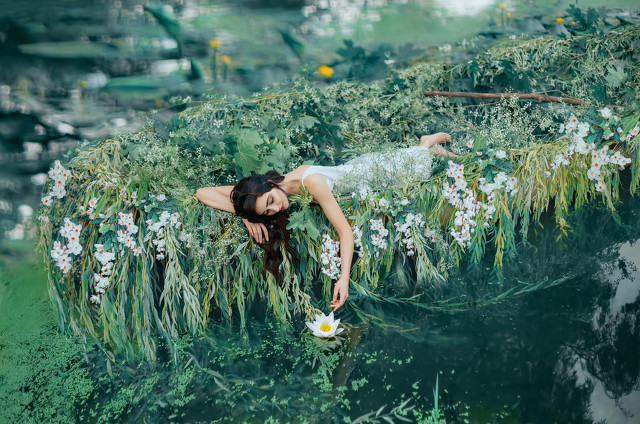 动物的拟人句 用拟人句描写一种熟悉的动物