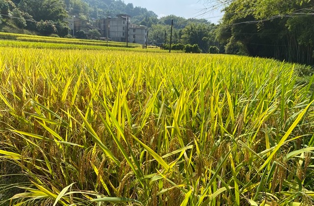 好闺蜜必备的个性网名(共92个)