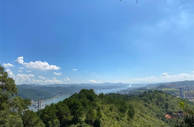 关于樱花的qq网名(115个)
