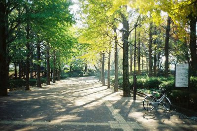 ​国庆短信祝福语大全80句