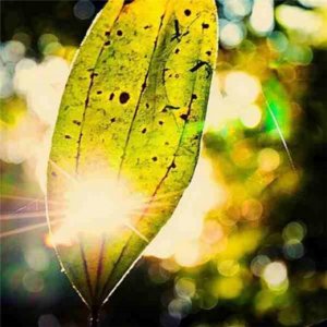 ​冬天爱情幸福的句子（爱情句子短句幸福）