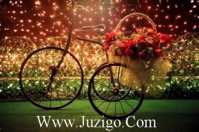 ​2023年520浪漫祝福语虎年祝福语(精选80句)