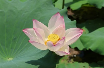 ​百度账号个性用户名 独特好听的百度用户名