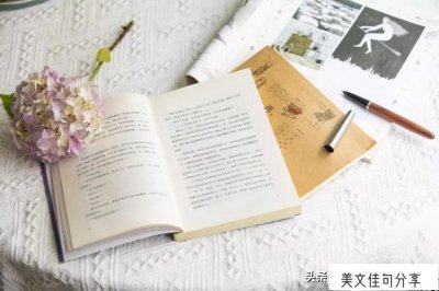 ​文案干净句子温柔短句(超温柔优质文案)