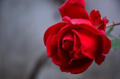 ​好的情侣网名466组