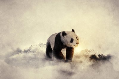 ​骂自己犯贱的话73句