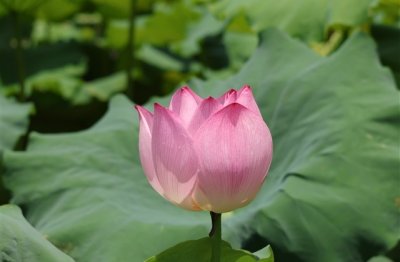 ​男战士游戏名字大全霸气