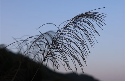 ​三宇温柔伤感游戏id(优选694个)