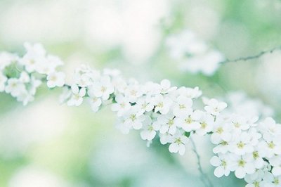 ​关于希望的句子100句