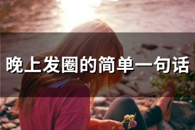 ​晚上发圈的简单一句话(60句)