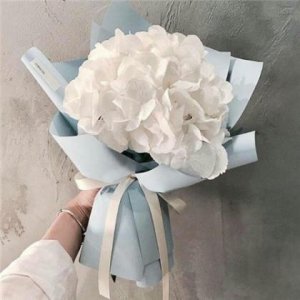 ​调皮正能量的短句子 对生活正能量短句个性[20句]