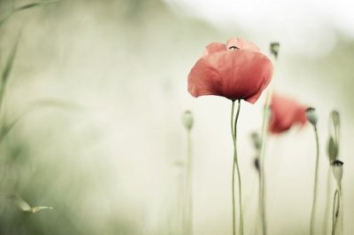 ​中元节搞笑祝福语说说中元节搞笑问候句子(17句)