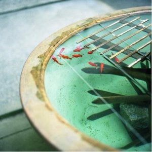 ​端午节祝福短信大全(2024年端午节短信)