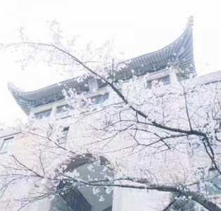 ​2024除夕给长辈的祝福语精选(30句)