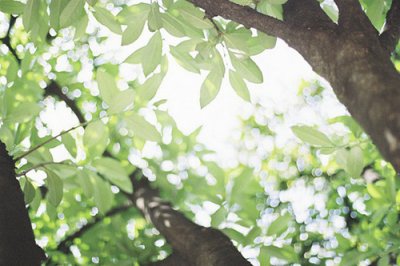 ​大年初一祝福语大全57句