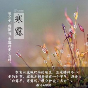 ​2024国庆微信祝福语[24句]