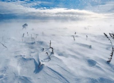 ​关于雪的网名