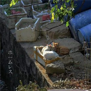 ​本年祝福语简短15字（本年简短祝福语八个字）