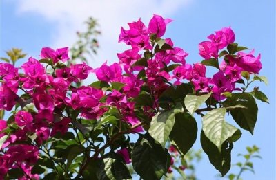 ​简短新潮个性网名大全(1077个)