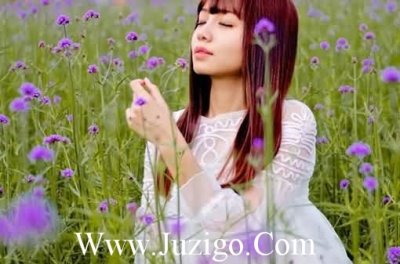 ​春节ppt年终总结祝福语春节总结祝福语(17句)