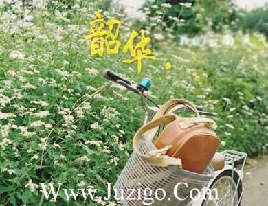 ​红包上祝福语32句