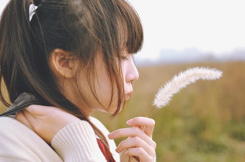 夏季节气的谚语40句