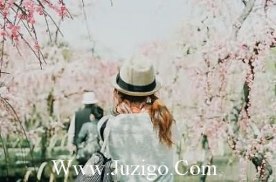 ​最有创意的马年结婚祝福语