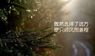 ​情人节婚礼祝福文案句子(精选66句)