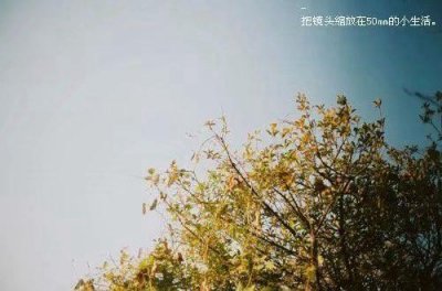 ​描写眼睛的优美句子