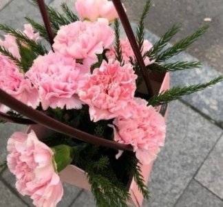 ​简单的表白的句子48条