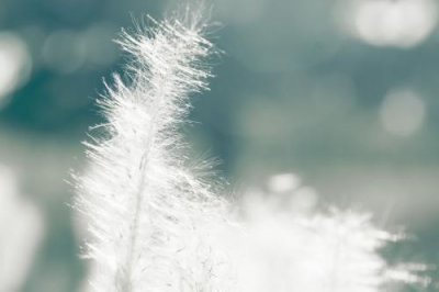 ​形容天气晴朗阳光明媚的句子(精选52句)