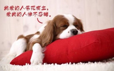 ​简短一句话心灵鸡汤给自己 走心励志的句子简短一句话