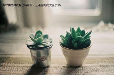 ​初八开工大吉句子2025合集(精选89句)