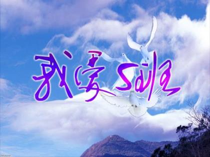 合适小学六年级的励志标语