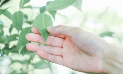 ​形容孩子坚持努力的句子（文言文努力坚持的句子）
