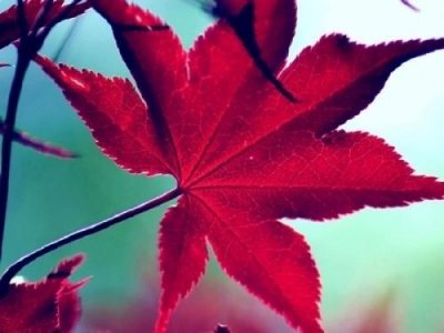 ​励志早安心语经典短句