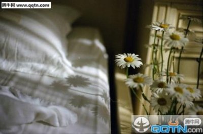 ​每日精彩励志语录（每日一句正能量励志）