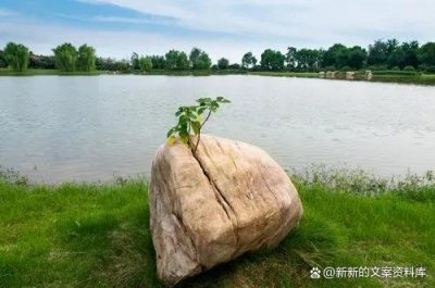​成长路上的励志短句（43句激励自己的成长语录）