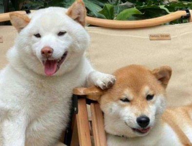 教师节贺卡内容送老师字2025年 教师节走心文案(精选55句)