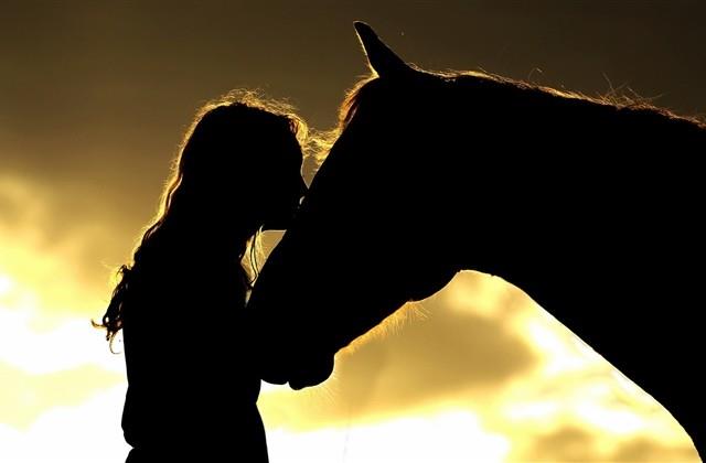 龙年男宝小名2024（422个）