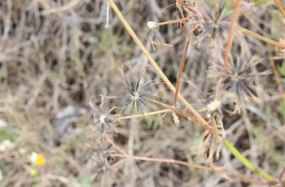 给宝宝取名字男孩名字