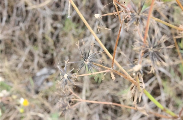 给宝宝取名字2023年属兔男孩名字