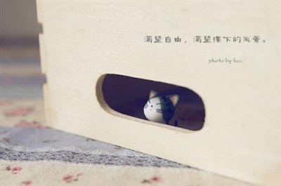 抖音2026年网名(219个)