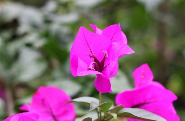 龙年男宝取名2024特别推荐336个