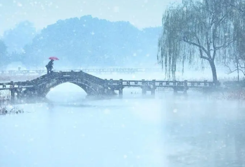 1702356958619761.png image.png