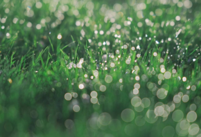 ​关于励志的句子致自己简短 写给自己励志短句的话