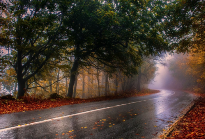 ​关于励志的句子致自己简短 阳光心态正能量的句子