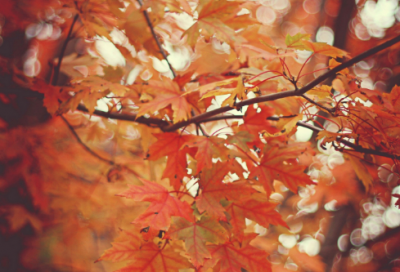 ​关于早安心语正能量短句 适合早上发的励志文案