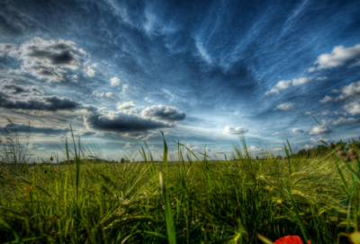 ​关于早安心语：每日晨语励志短句